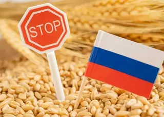 Російська пшениця втратила конкурентість на світовому ринку