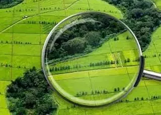 Стало відомо, скільки сільгоспземель продано у 2025 році