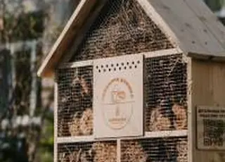 «Контінентал» створює осередки здорового довкілля для комах в урбанізованих середовищах