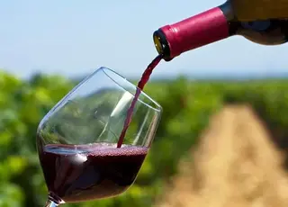 Аргентинське вино зіткнулося з найважчою кризою за останні 15 р