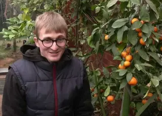 На Хмельниччині садівник вирощує на власній веранді екзотичні фрукти