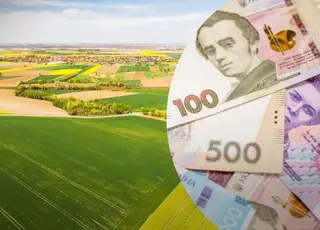 В Україні зросла середня вартість гектара землі