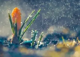 Озвучено прогноз погоди на тиждень