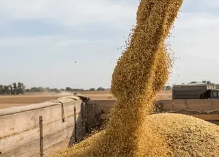 Зерно з окупованих територій не прийняли у двох країнах