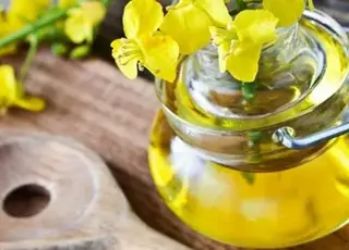 Україна у 2024/25 МР експортувала понад 86% ріпаку та лідирує на ринку ріпакової олії