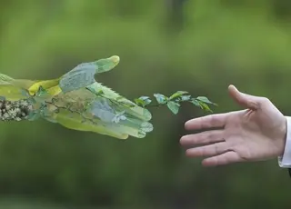 EBA закликала переглянути кліматичні цілі України з урахуванням воєнних реалій