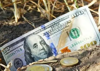 В Україні зросли ціни на землю