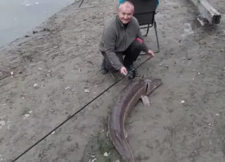 Рибалка виловив надзвичайно рідкісного осетра