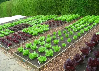 На Дніпропетровщині домогосподарства отримають по 3 тис доларів на старт весняних робіт