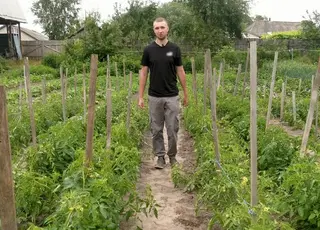 На Чернігівщині хлопець вирощує майже 300 сортів помідорів