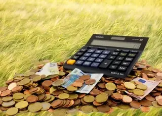 Агросектор Київщини сплатив понад 1,3 млрд грн податків у першому кварталі 2026 року