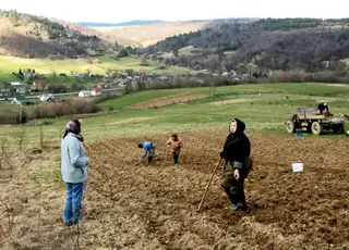 Чи можлива безоплатна приватизація землі для ОСГ до 2 га під час воєнного стану