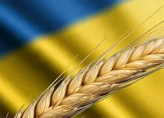 Країни ЄС, що межують з Україною, ініціюють створення фонду для підтримки своїх аграріїв