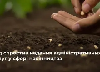 Кабмін удосконалив адмінпроцедури у сфері насінництва для аграріїв