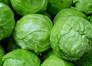 В Україні у продаж надійшли перші партії ранньої капусти місцевого виробництва