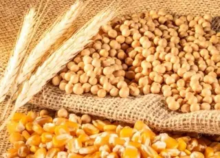 В Україні скоротилось виробництво агропродукції