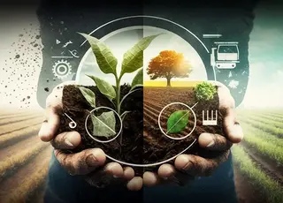Україна запускає єдину цифрову систему контролю у фітосанітарній сфері