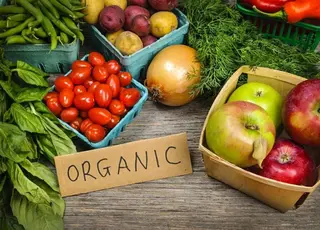 Україна забезпечує Європейський Союз майже 8% органічної продукції