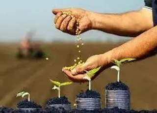 В Україні запровадили новий формат гарантування кредитів для фермерів