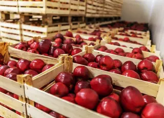 Новинка для живлення садів кальцієм