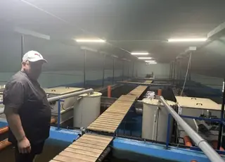 На Тернопільщині відкрили нову ферму з вирощування форелі