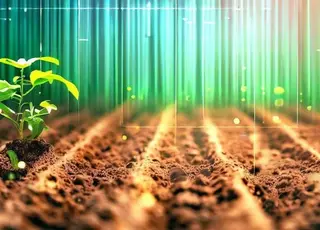 На Львівщині фермерів навчатимуть методам органічного землеробства