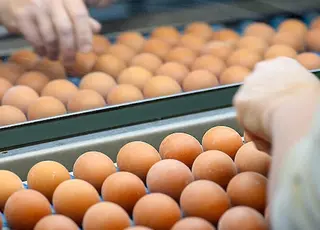 В Україні подешевшали яйця