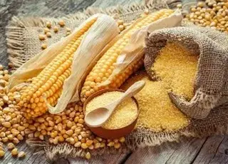 Озвучено оновлені ціни на фуражну кукурудзу на українському експортному ринку 