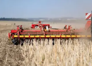 Carrier з трьома рядами CrossCutter: новий рівень обробітку стерні