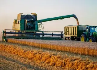 В Україні намолочено понад 33 мільйони тонн зерна станом на жовтень 2025 року