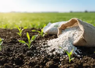 Хімічна сировина для агросектору: як забезпечити стабільність виробництва