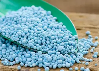 Аграріям радять уже зараз запасати комплексні добрива на осінь