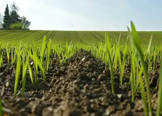 Стало відомо, чи вистачить аграрії пального на весняну посівну