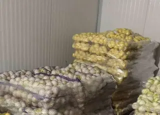 Фермерське господарство «Загірянське» на Львівщині створило власний бренд овочів
