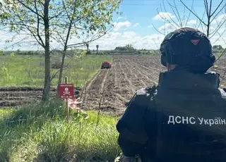 Прокуратура розслідує фіктивне розмінування земель у трьох областях