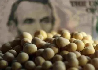 В Україні зросли ціни на сою