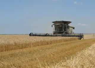 Українські аграрії зібрали майже 25 млн т зернових та зернобобових культур