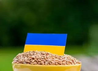 Україна скоротила експорт зернових: ячменю вивезено майже 800 тис. тонн