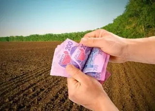 Фермерським господарствам нараховують подвійне МПЗ за землі постійного користування