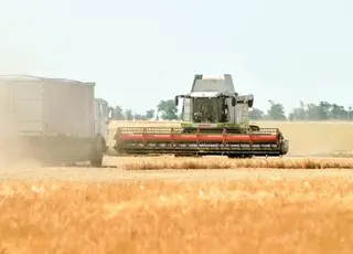 Вінницькі аграрії завершують збір врожаю та готують поля під озимі культури