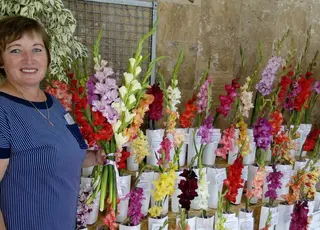 Квітникарка з Київщини вирощує понад 600 сортів гладіолусів у власному саду