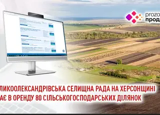 Великоолександрівська селищна рада на Херсонщині здає в оренду 80 сільськогосподарських ділянок