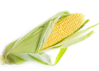 Ціни на кукурудзу втратили імпульс зростання: українська програє в конкурентності американській