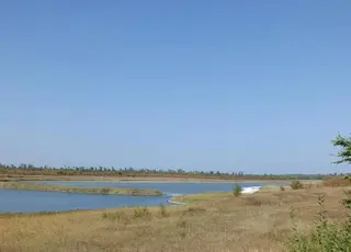 На Херсонщині поля перетворюються на пустелю без відновлення Каховського водосховища