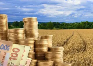Що передбачає проєкт програми дій уряду для аграріїв України