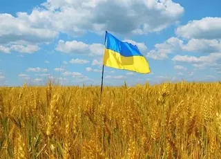 Держгеокадастр запустив електронний витяг із земельного кадастру