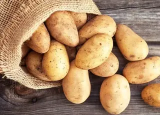 Як зберігати картоплю 11 місяців без втрати якості 