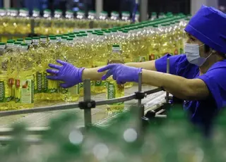 В Україні зупиняються олійні заводи