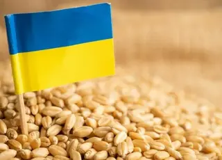 Експорт української агропродукції у жовтні помітно зріс