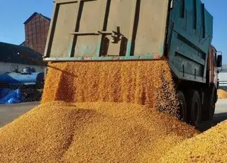Транспортна інфраструктура України перевищує потреби агроринку на 35% — аналітика